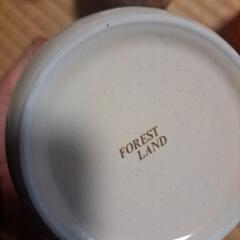 フォレストランド容器の画像