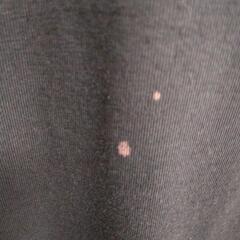 アディダスTシャツの画像