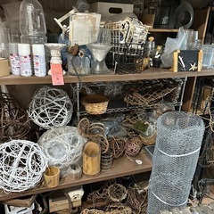 エアープランツ用品