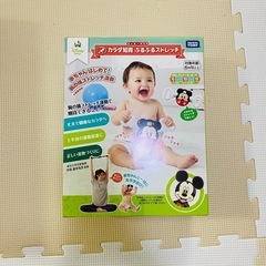 最終値下げ まとめ売り カラダ知育 ディズニー 0ヶ月〜 の画像