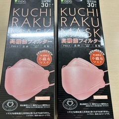 高機能フィルターマスク　合計50枚　の画像