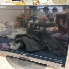 ☆テレビ☆