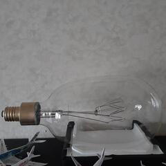 漁船の電球