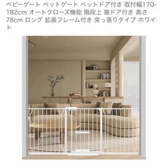 LA CASA キュリオケース キャビネット コレクションボード