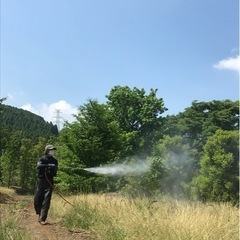 庭木の消毒