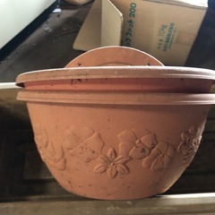 プランタ　無料の画像