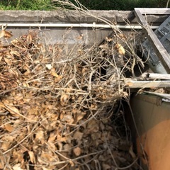 1年屋根下で乾かした薪
の画像