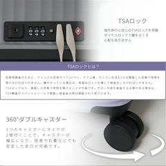 キャリーケース　大型　TASロックの画像