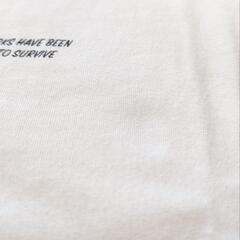 ロンT 120の画像