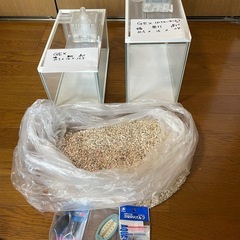 【交渉中】メダカ、熱帯魚水槽