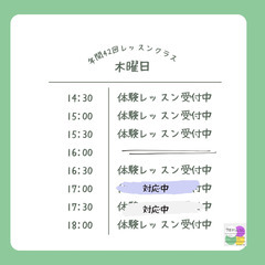 大人のピアノレッスンの画像