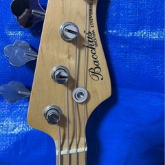Bacchusベースの画像