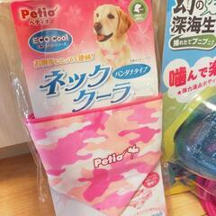 犬のおもちゃとネッククーラーの画像