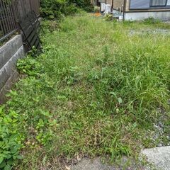 お庭の草取り、草刈り − 静岡県