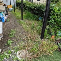お庭の草取り、草刈り - 富士市