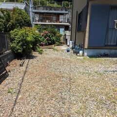 お庭の草取り、草刈り - 手伝いたい/助けたい