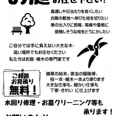 剪定、草刈りお任せください！お墓掃除代行（クリーニング）致します！