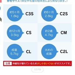 最終価格！猫用ブラシ、服の画像