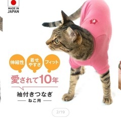 最終価格！猫用ブラシ、服の画像