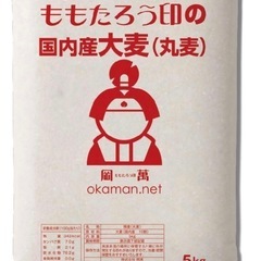 大麦 (丸麦) 国内産 15kg (5kg×3袋)