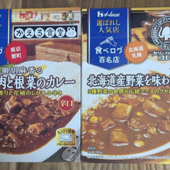 【賞味期限間近】レトルトカレー2個セット　辛口　 中辛　エスニック