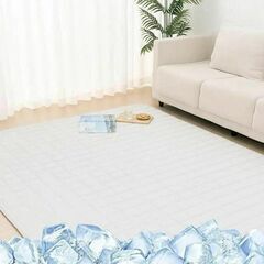 大特価⭐ラグ カーペット 夏用ラグ マット ひんやり接触冷感 約...