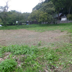 №C-d409【埼玉県日高市北平沢】農地1筆あげます！ - 日高市