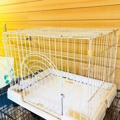 犬用ケージの中古が安い！激安で譲ります・無料であげます