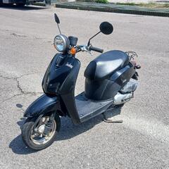 af61トゥデイ　好調の画像