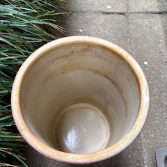 植木鉢いろいろの画像