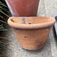 植木鉢いろいろの画像