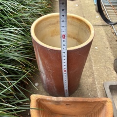 植木鉢いろいろの画像