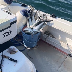 ヤマハＵＦ33 
プレジャーボートの画像