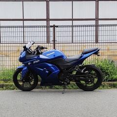 ☆Ninja250R☆ ヨシムラマフラー、チェーン新品、プラグ新品