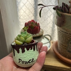 No.65リメイク鉢植木鉢ハンドメイド2個セット多肉植物 (さと) 中