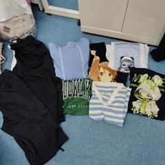 レディース夏服セット