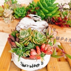 ✨SALE✨ No.68リメイク鉢リメイク缶植木鉢ハンドメイドの画像