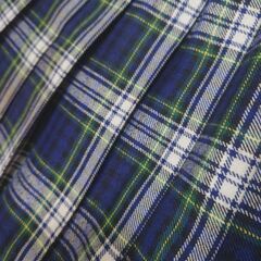 プリーツスカート　グリーンタータンチェックの画像