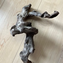 水槽用品の画像