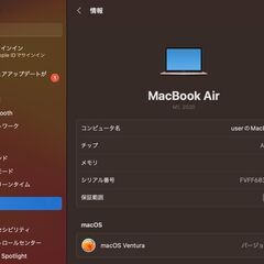 MacBook Air（M1,2020）1TB/8GB〈MGNE3J/A〉⑤の画像