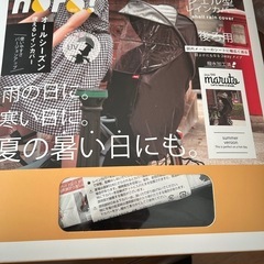 お譲り完了✨日差し避け雨避けカバー虫、花粉避けカバーの2点セットの画像
