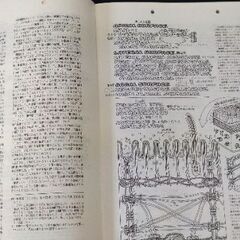 カラースケッチ　生理学