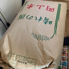 令和6年度産