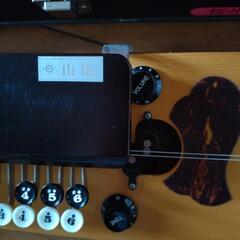 琴伝流大正琴の画像