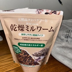 ハリネズミおやつ