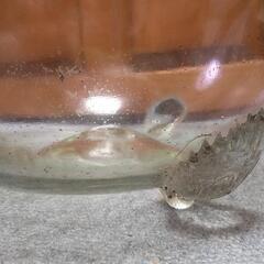 レトロ アンティーク 金魚鉢の画像