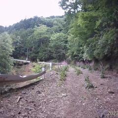 険道を走りたい方（年齢性別土日平日不問です😊随時内容更新しています） − 大阪府