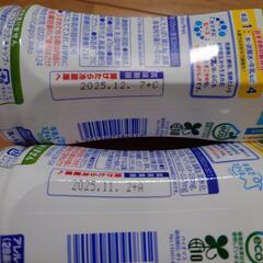 カルピス④の画像