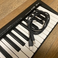Roland A49 MIDIキーボード 49鍵の画像
