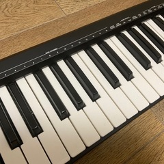 Roland A49 MIDIキーボード 49鍵 (よっしー) 駒込の鍵盤楽器